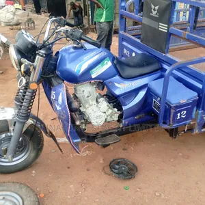 Tricycle 2025 Blue