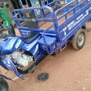 Tricycle 2025 Blue