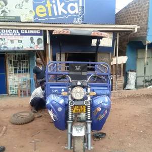 Tricycle Ihemas 2024 Blue