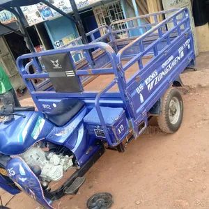 Tricycle Ihemas 2024 Blue