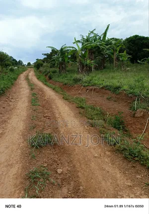 Photo - Mailo Land