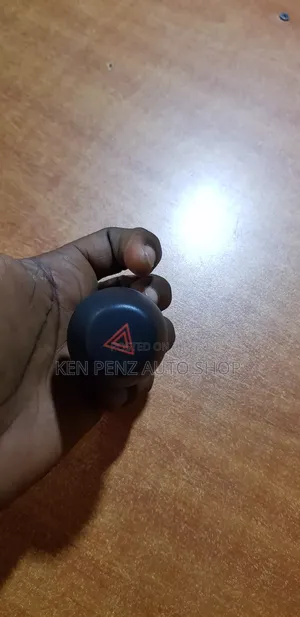 Rav4 2008 Double Indicator Burton