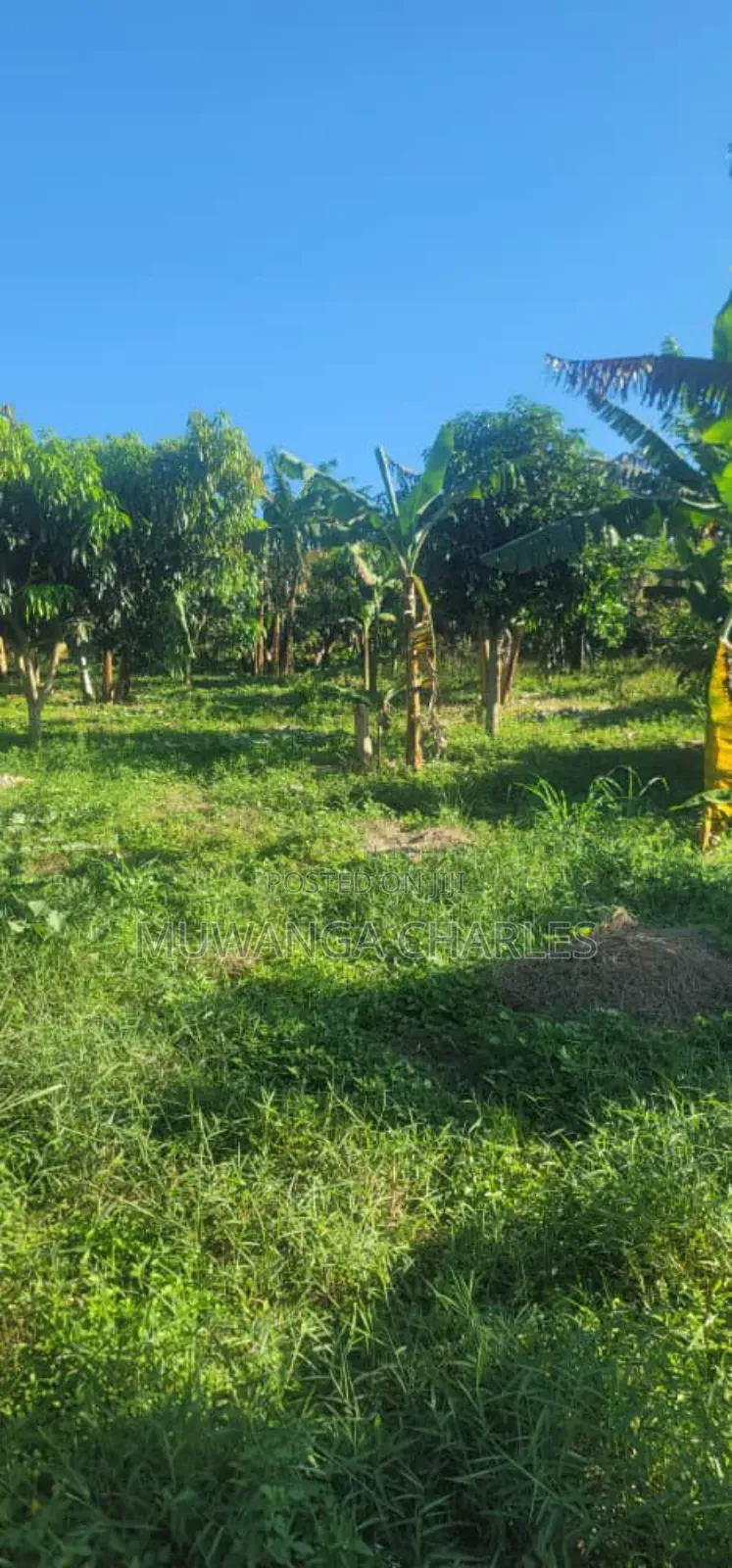 Land on Sale in Zirobwe