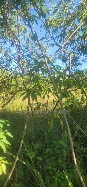 Land on Sale in Zirobwe
