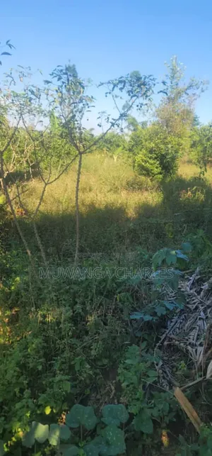 Land on Sale in Zirobwe