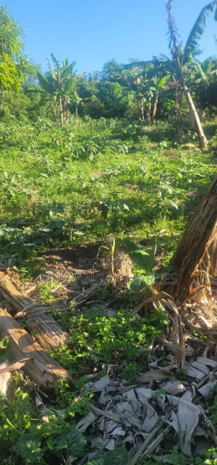 Land on Sale in Zirobwe