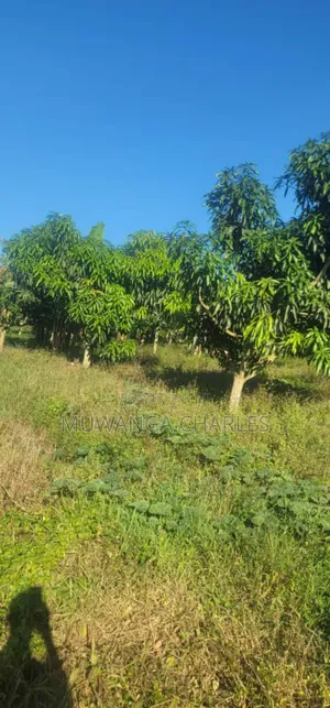 Land on Sale in Zirobwe