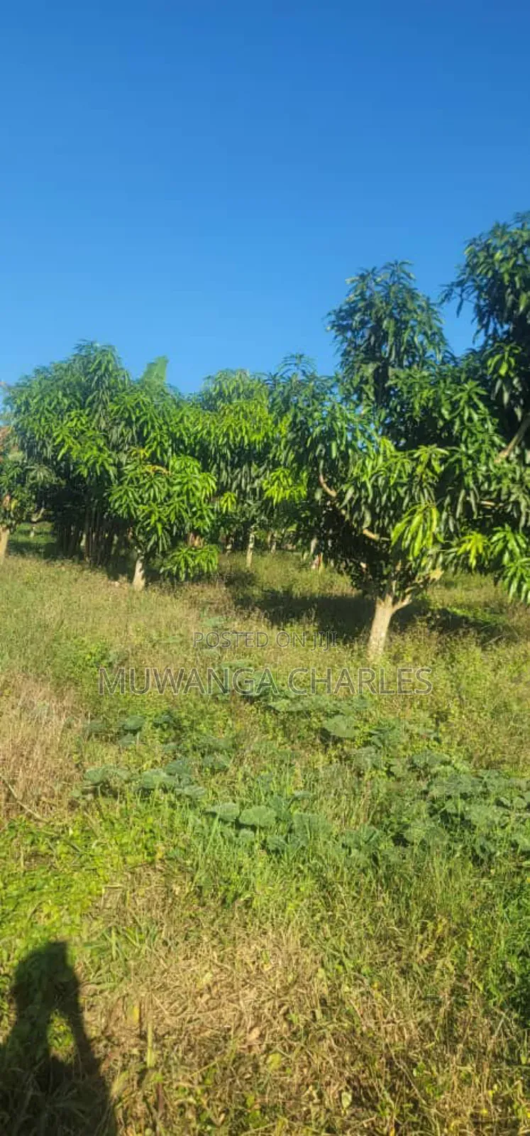 Land on Sale in Zirobwe