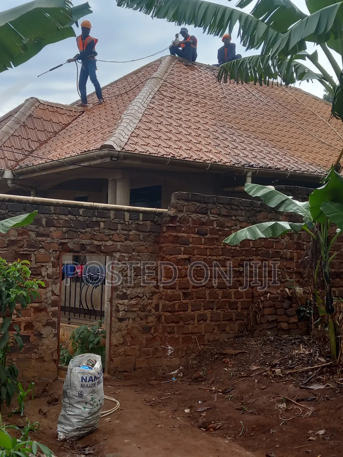Roof Cleaning Services