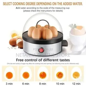 Electric Egg Boiler