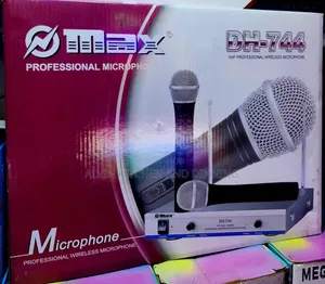 Professional Wireless Microphone