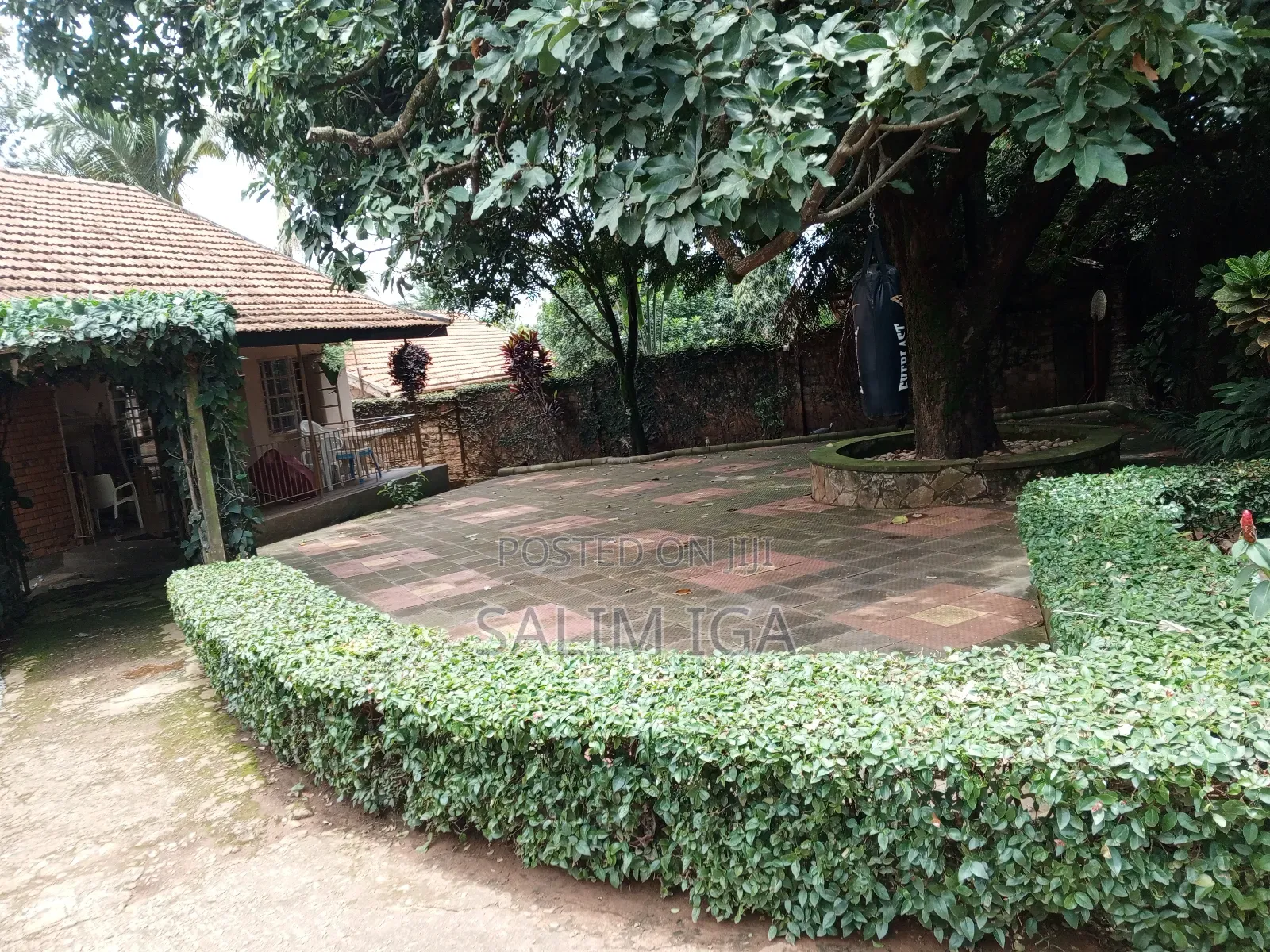 3bdrm Bungalow in Kololo Property, Central Division for rent