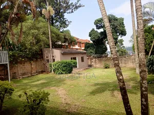 4bdrm Bungalow in Kololo Property, Central Division for rent