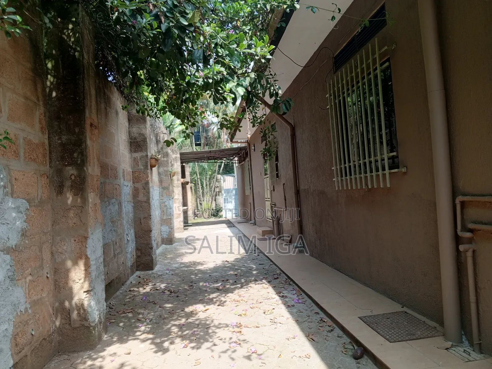 4bdrm Bungalow in Kololo Property, Central Division for rent