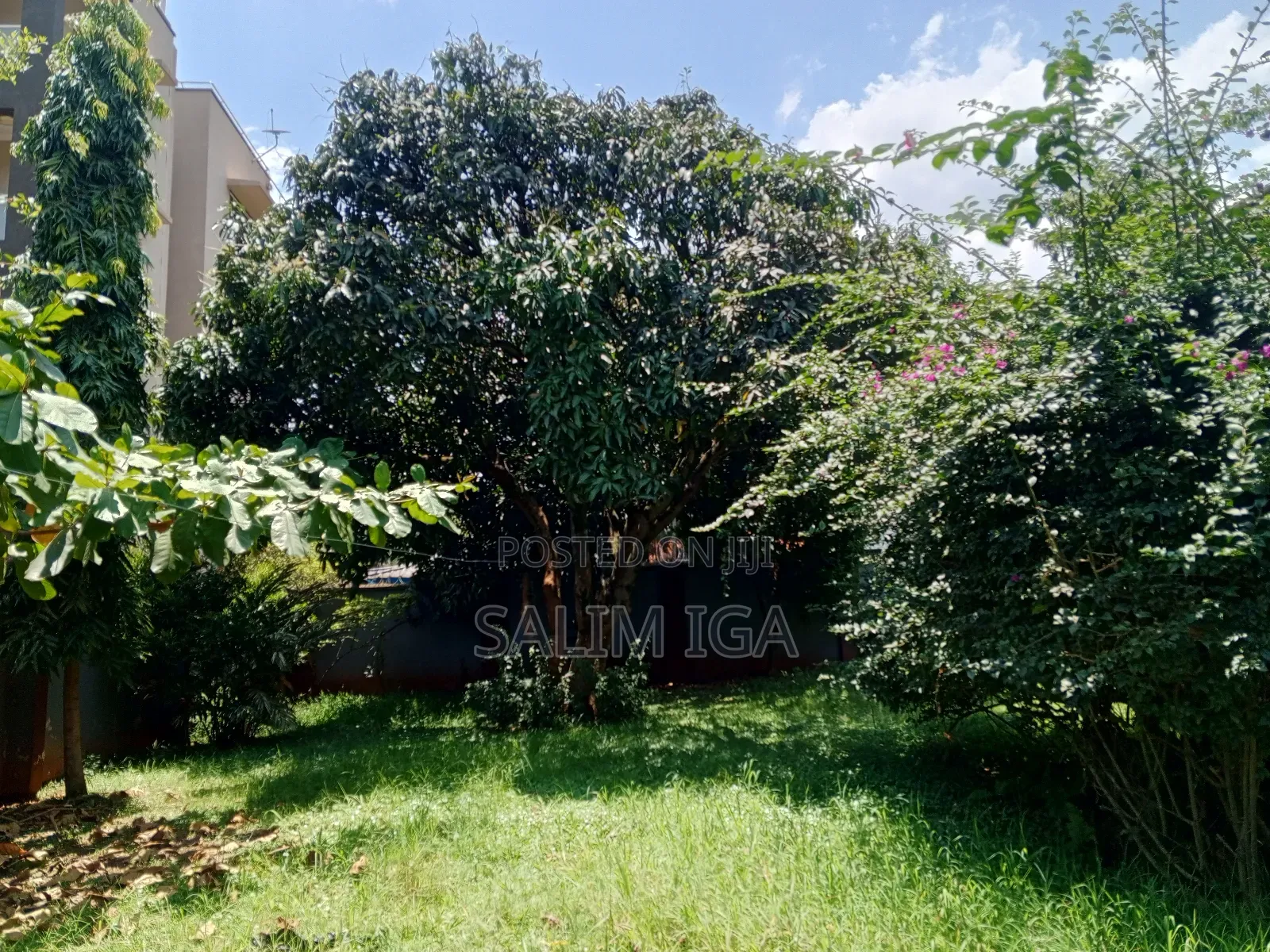 4bdrm Duplex in Kololo Property, Central Division for rent