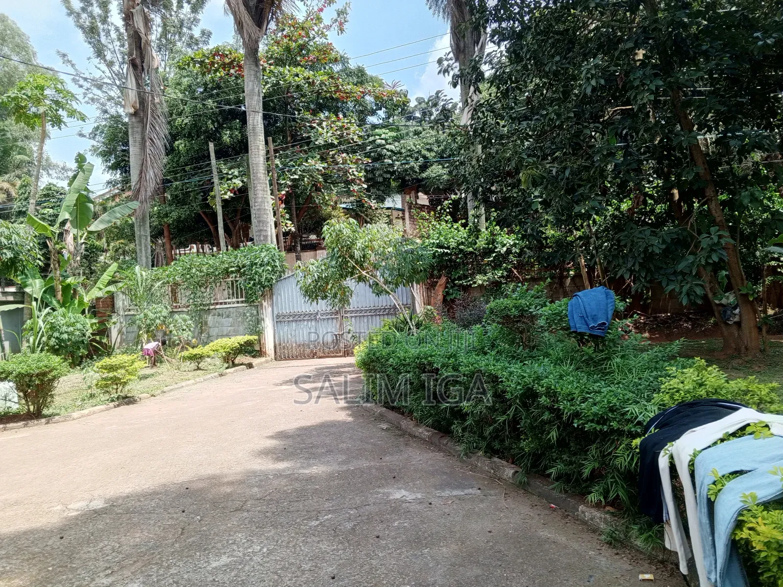 3bdrm Bungalow in Kololo Property, Central Division for rent