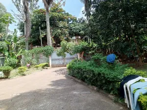3bdrm Bungalow in Kololo Property, Central Division for rent