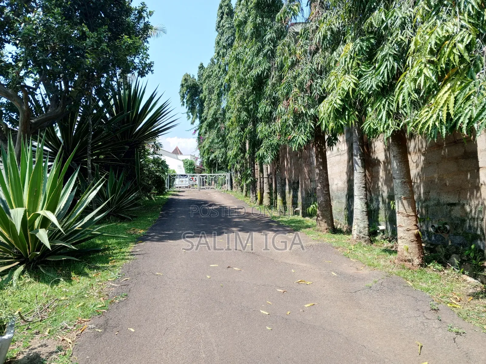 4bdrm Duplex in Kololo Property, Central Division for rent