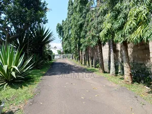 4bdrm Duplex in Kololo Property, Central Division for rent