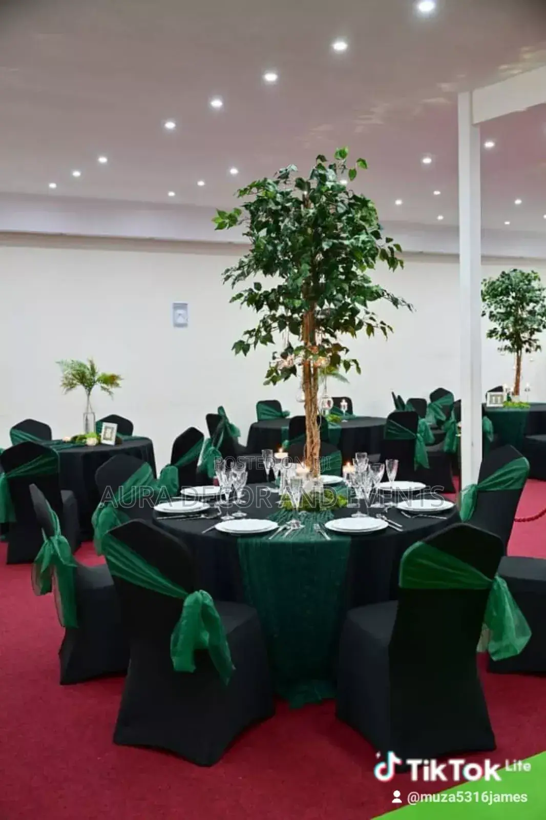 Table Setup and Chair Decoration