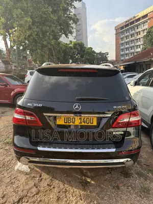 Photo - Mercedes-Benz M Class 2014 Black