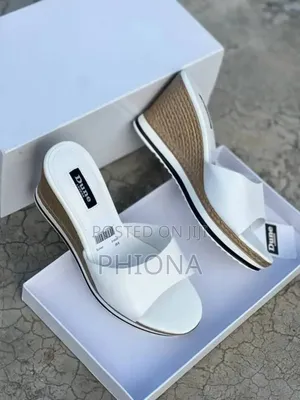 Elegant Ladies Shoes