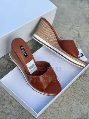 Elegant Ladies Shoes