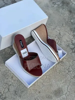 Elegant Ladies Shoes