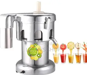 Stainless Steel Commercial Juice Extractor