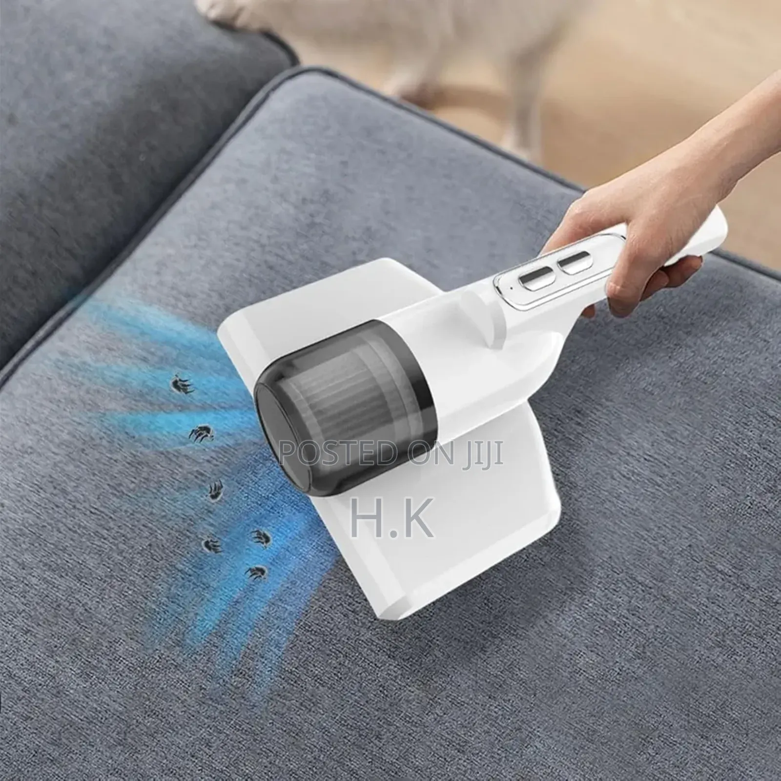 Carpet Cleaner