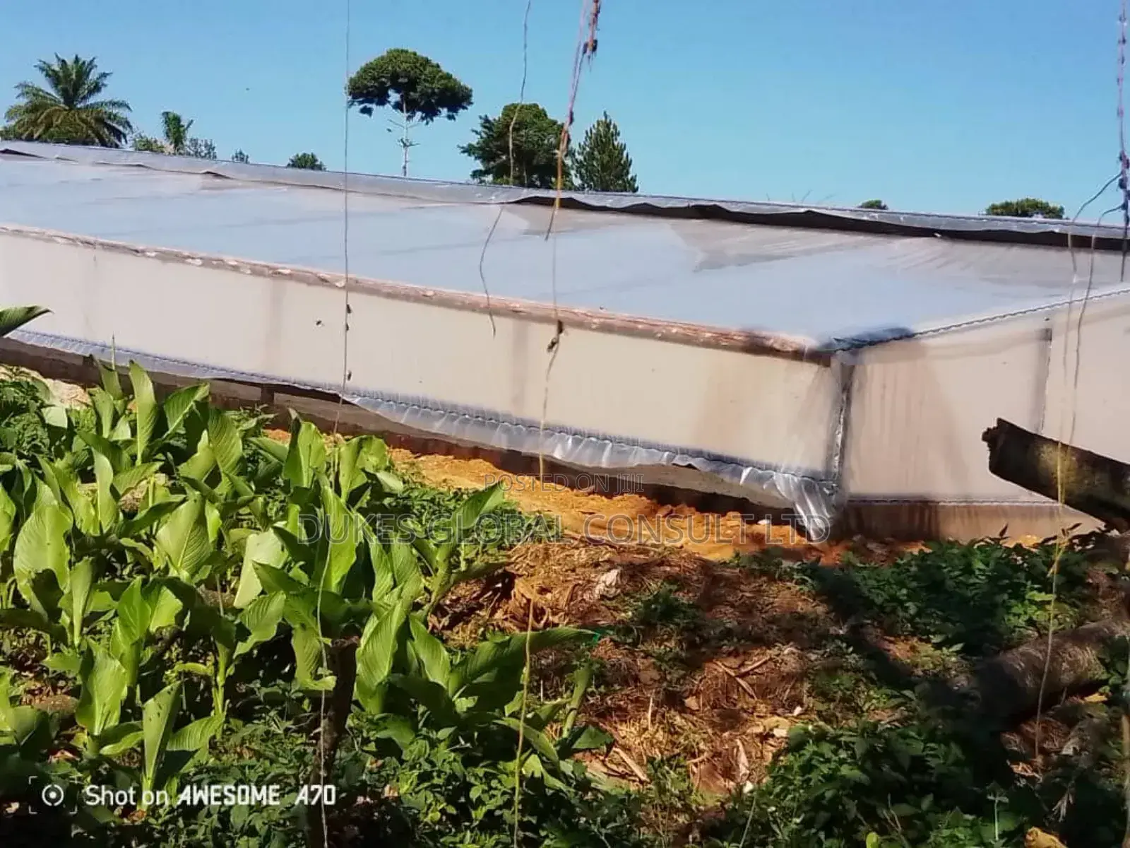 Structure for Solar Dryer for Poultry Westage