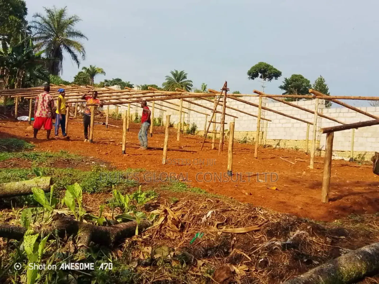 Structure for Solar Dryer for Poultry Westage