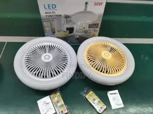 Multifunctional Fan Light 30w Led Ceiling Fan