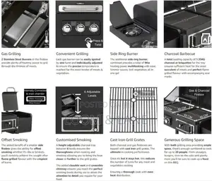 2 In 1 Commercial Luxury Gas Grill