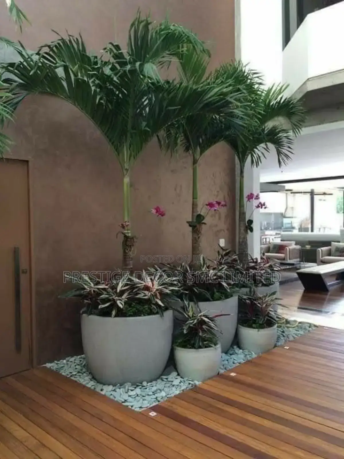 Studio Artificial Plant