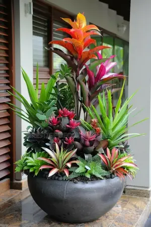 Fancy Plants Amazing Flowers