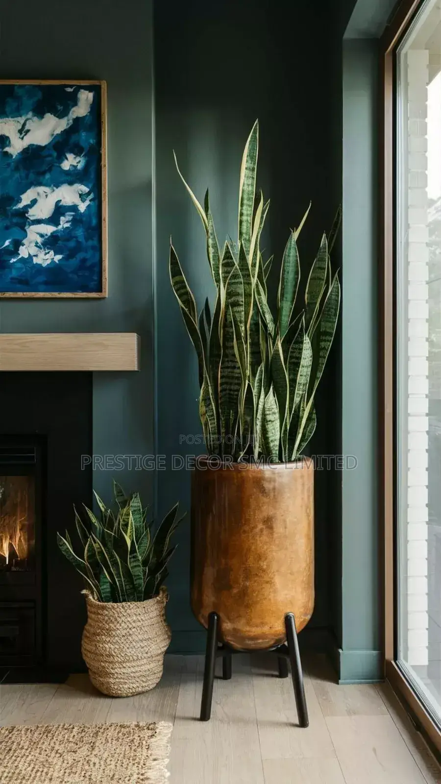 Plant and Pot Fab Designz