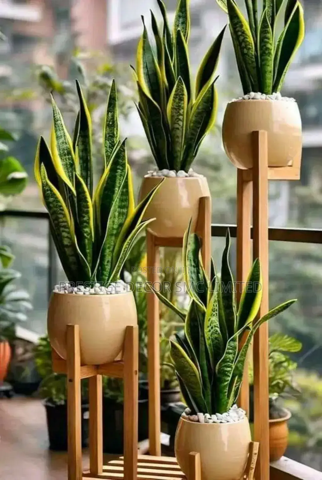 Plant and Pot Fab Designz