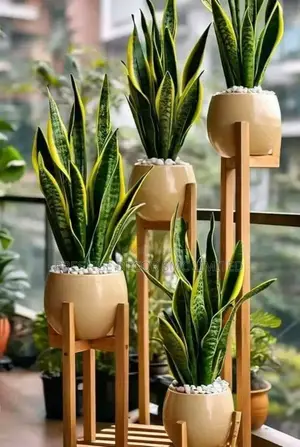 Plant and Pot Fab Designz