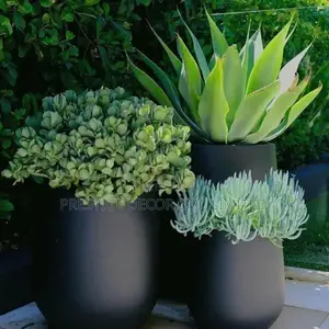 Green Artficial Modern Plants