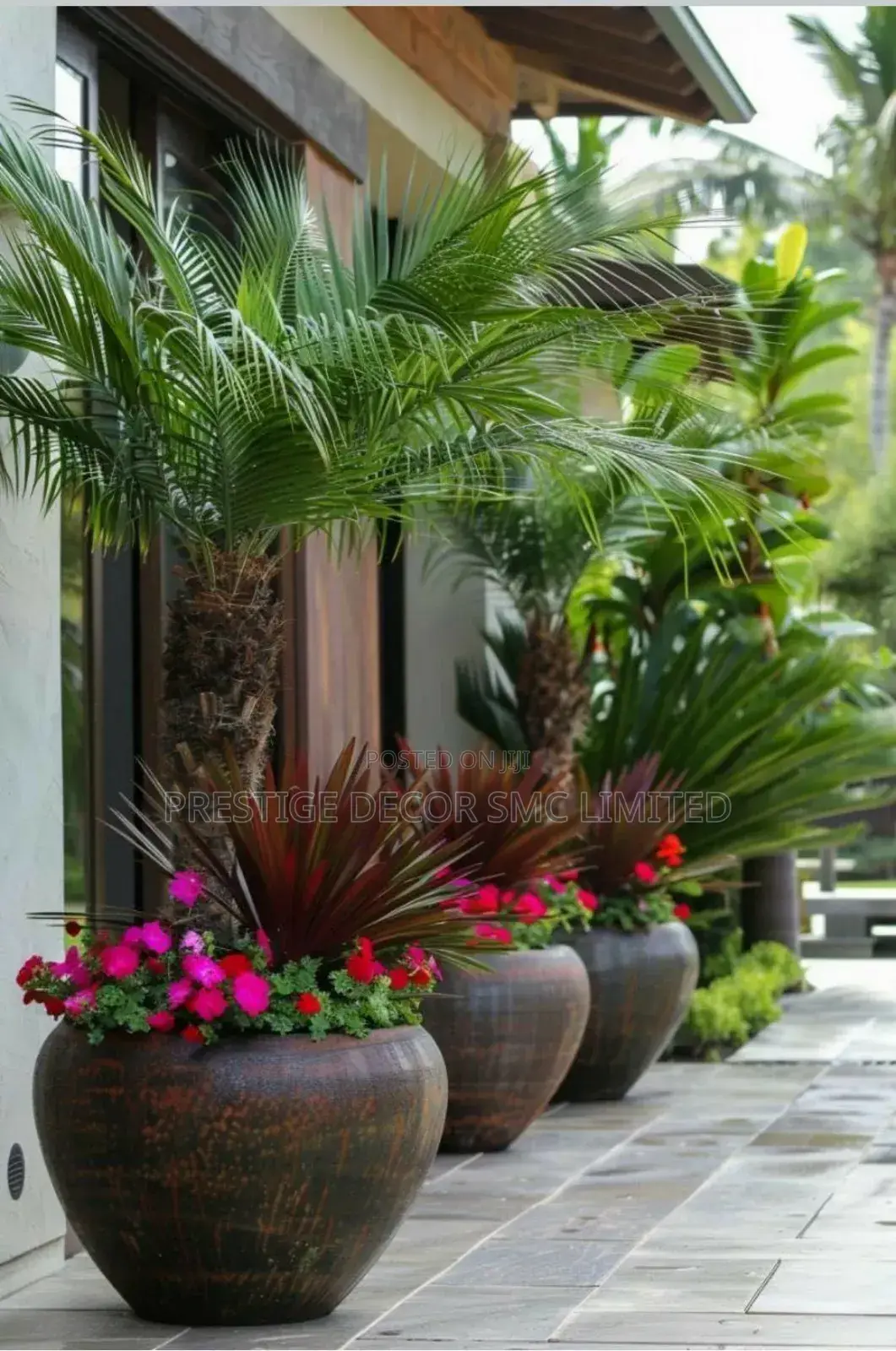 Green Artficial Modern Plants