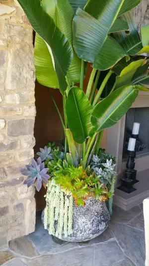 Green Artficial Modern Plants