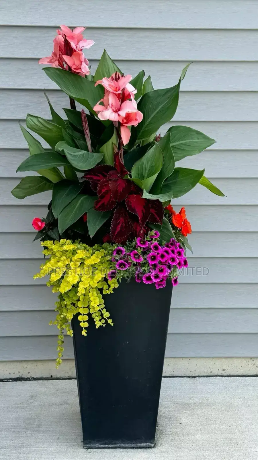 Fantasic Plants Best Decore Ever
