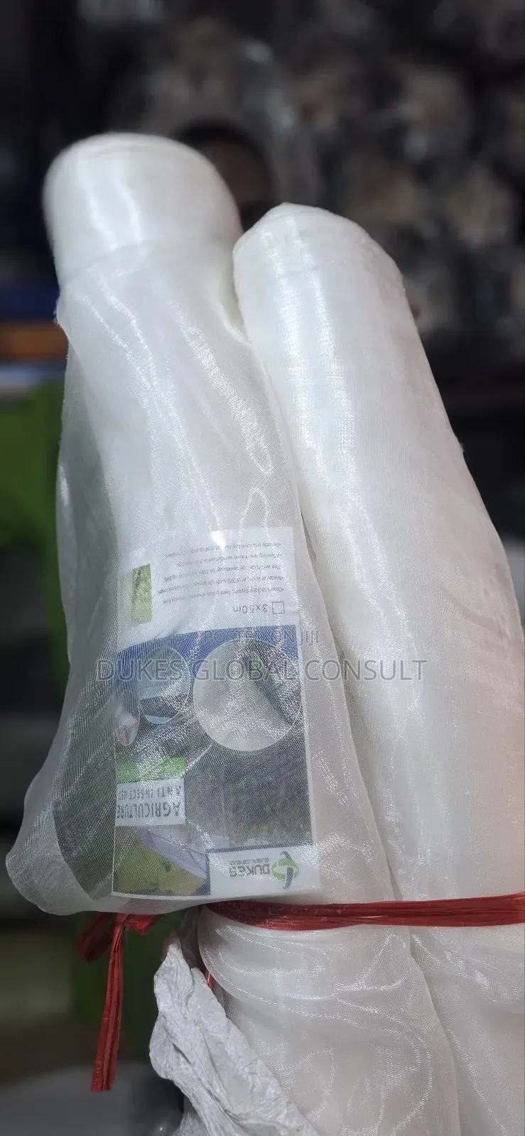 Insect Net