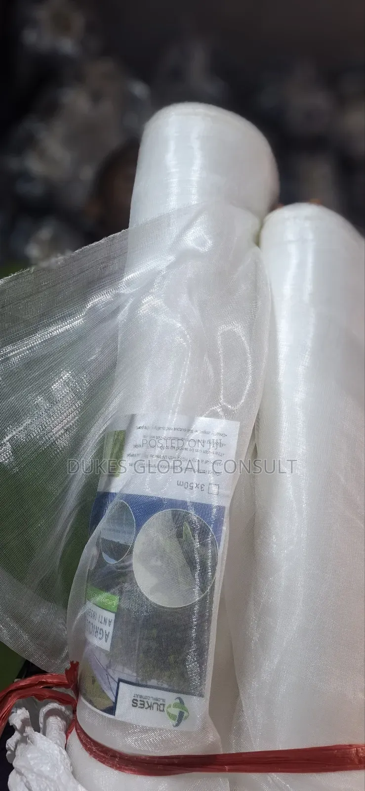 Insect Net