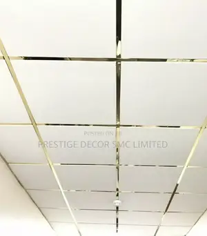 Suspended Ceilling Majestic