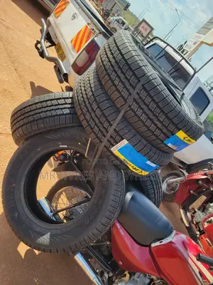 Stay at Home We Find U Thea It's 225 65 R17 Jk Tires New.