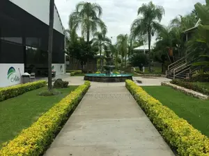 Eden Like Compound Designs