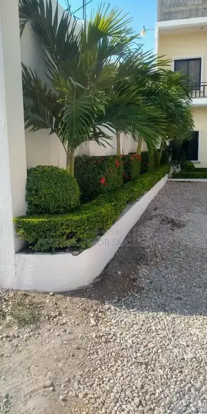 Compound Decorr Amazing
