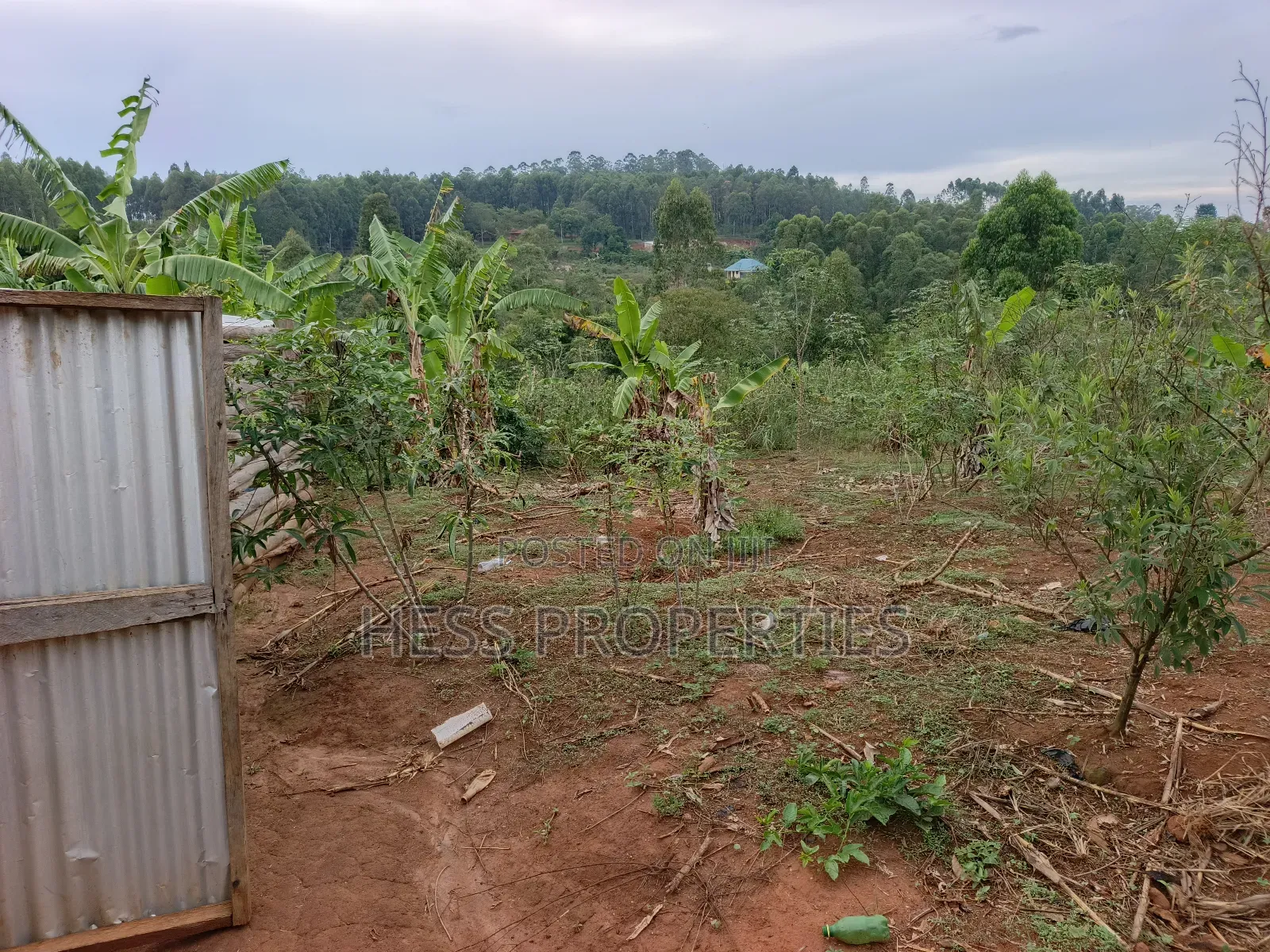 Residential House Seated on One Acre of Land
